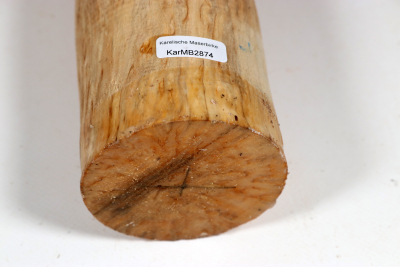 Karelian Masurbirch, spalted 340x70mm - KarMB2874