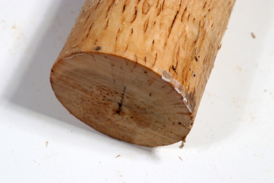 Karelian Masurbirch, spalted 340x75mm - KarMB2675