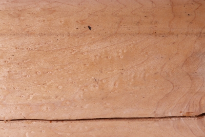 Birdseye Maple 300x190mm - VogAug0270