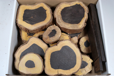 Sortimentbox Goldschmiede - Grenadill - Goldbox2271 Sortimentbox Goldschmiede - Grenadill - Goldbox2271