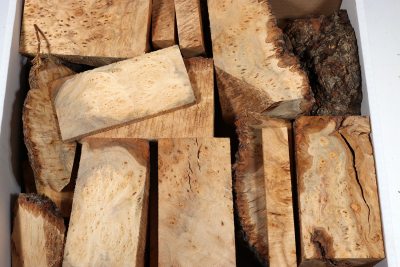 Assortment Box Goldsmith - Linden Tree Burl  - Goldbox2059