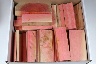 Sortimentbox Goldschmiede - Pink Ivory - Goldbox2186 Sortimentbox Goldschmiede - Pink Ivory - Goldbox2186