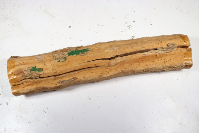 Boxwood Burl 380x80mm - Buchs0373