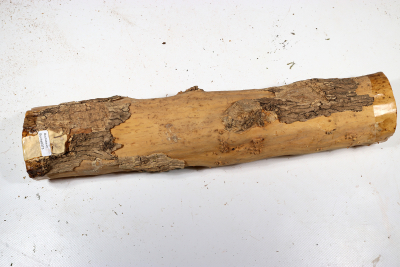 Boxwood Burl 380x80mm - Buchs0373