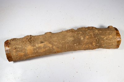 Boxwood Burl 410x80mm - Buchs0378