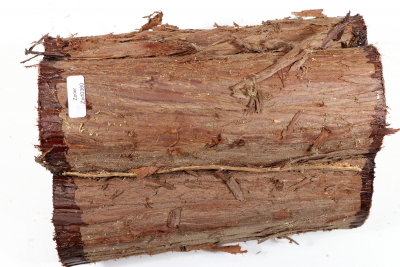 Stammabschnitt Florida-Zeder 205x140mm - Zed0360
