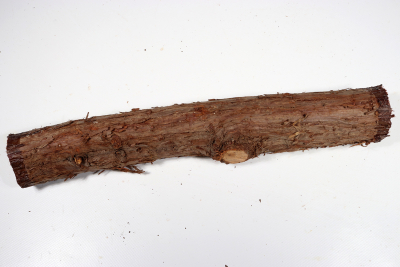 Eastern Red Cedar 365x50mm - Zed0349
