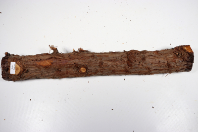 Eastern Red Cedar 400x50mm - Zed0350
