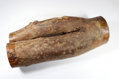 Laburnum 350x110mm- GoRe0198