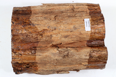 African Blackwood 185x140 mm - Gren0515