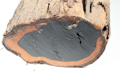 African Blackwood 230x130 mm - Gren0397