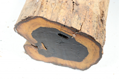 African Blackwood 240x130 mm - Gren0399