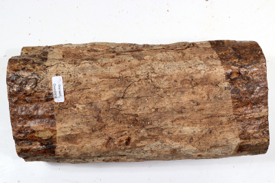 Stammabschnitt Grenadill 245x120 mm - Gren0509