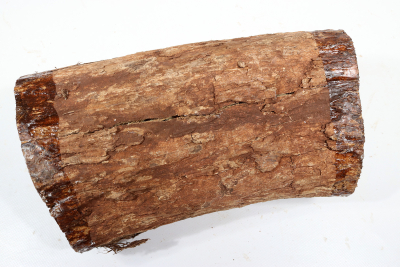 African Blackwood 250x150 mm - Gren0553