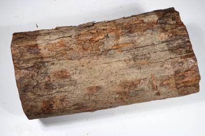 Stammabschnitt Grenadill 280x140 mm - Gren0449
