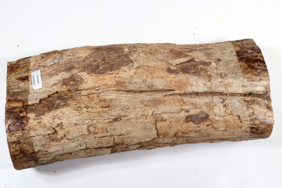 African Blackwood 285x130 mm - Gren0507