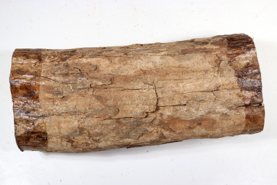 African Blackwood 285x130 mm - Gren0507
