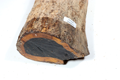 Stammabschnitt Grenadill 320x90 mm - Gren0510