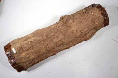 African Blackwood 540x160mm - Gren0544