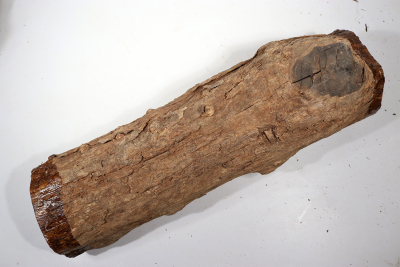 African Blackwood 540x160mm - Gren0544