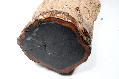 African Blackwood 540x160mm - Gren0544