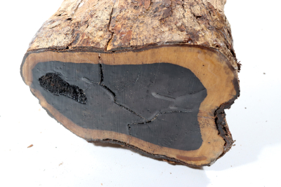 African Blackwood 550x170mm - Gren0547