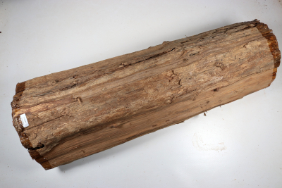 African Blackwood 590x180mm - Gren0619