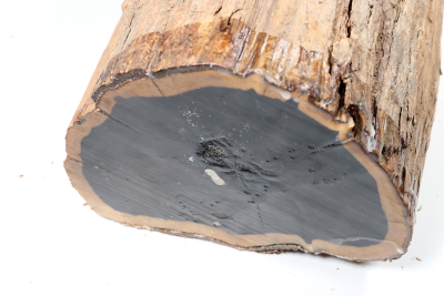 African Blackwood 590x180mm - Gren0619