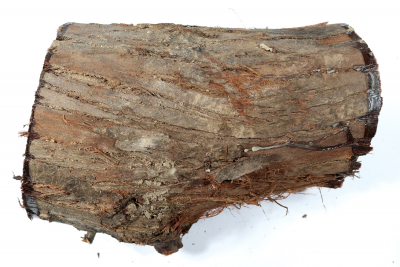 Silverberry 240x135mm - Oelwei0066