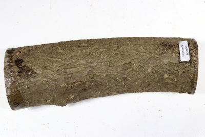 Holly 225x70mm - Ilex0240