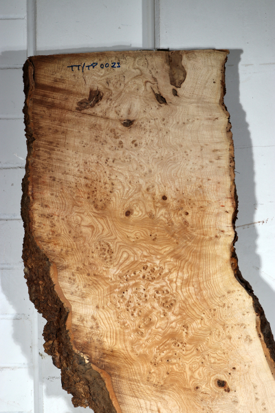 Tabletop Ash Burl 1900x680x68mm - TTTP0023