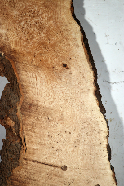 Tabletop Ash Burl 1900x680x68mm - TTTP0023