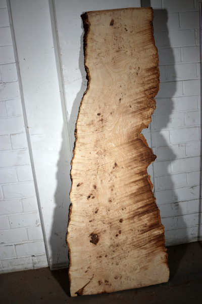 Tabletop Ash Burl 1900x680x68mm - TTTP0023