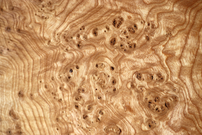 Tabletop Ash Burl 1900x680x68mm - TTTP0023