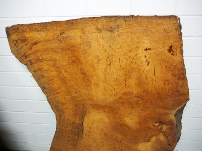 Tabletop Eucalyptus Burl 1270x1070x75mm - Euca0001