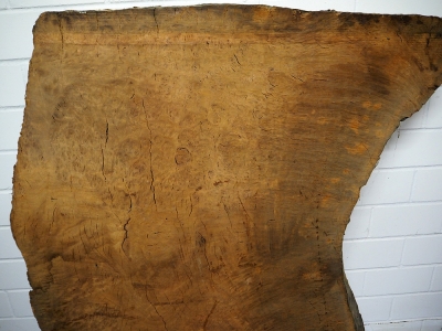 Tabletop Eucalyptus Burl 1270x1070x75mm - Euca0001