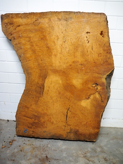 Tabletop Eucalyptus Burl 1270x1070x75mm - Euca0001