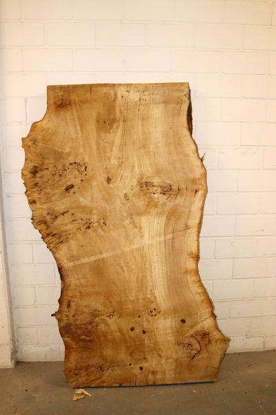 Tabletop Poplar Burl 1570x1000x65mm -  TTX103M