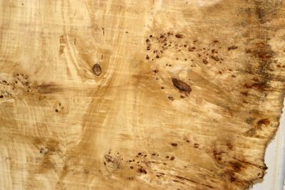 Tabletop Poplar Burl 1570x1000x65mm -  TTX103M