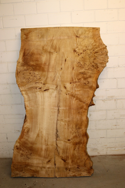 Tabletop Poplar Burl 1600x970x65mm -  TTX100M