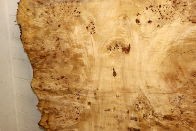 Tabletop Poplar Burl 1600x970x65mm -  TTX100M