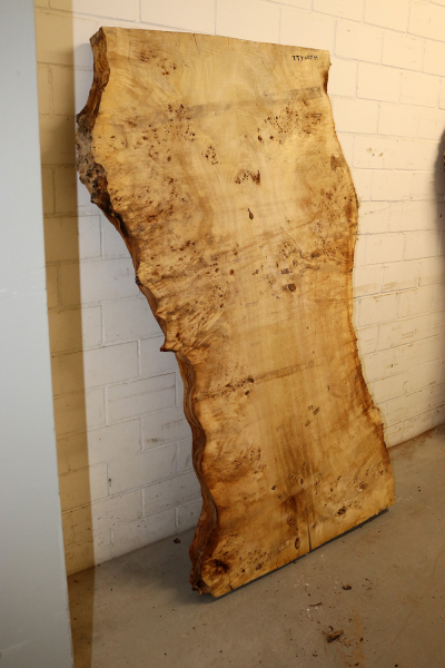 Tabletop Poplar Burl 1600x970x65mm -  TTX100M