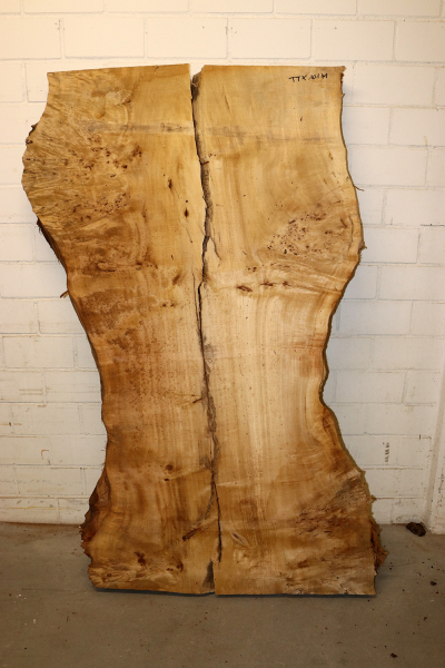 Tabletop Poplar Burl 1600x990x65mm -  TTX101M