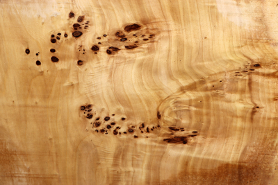 Tabletop Poplar Burl 1940x800x65mm - TTTP0028