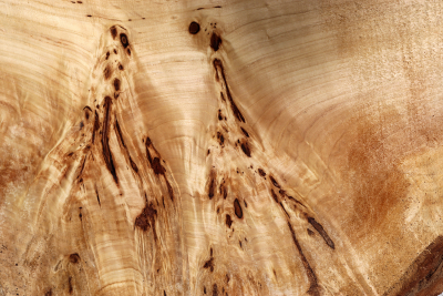 Tabletop Poplar Burl 1900x900x65mm - TTTP0021