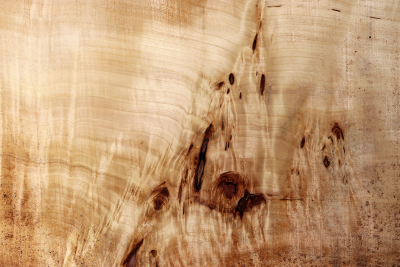 Tabletop Poplar Burl 1900x900x65mm - TTTP0021