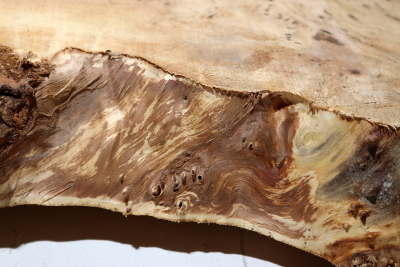 Tabletop Poplar Burl 1900x900x65mm - TTTP0021