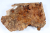Abschnitt Golden Madrone 270x190x60mm - GMadr0571