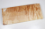 Brett Muschelahorn 320x135x35mm - Ahorn0369