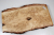 Brettabschnitt karelische Maserbirke  320x160x32mm - KarMB2952